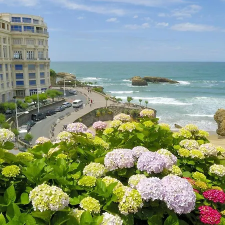 Made For * Biarritz